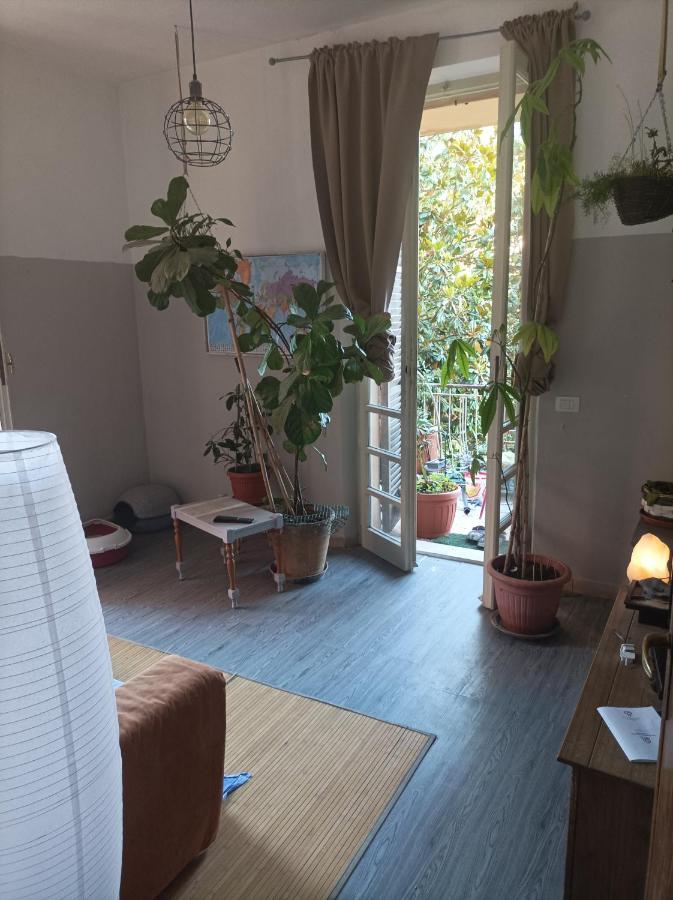 شقة Boh & Boh A Casa Di Luca And His Cats بيرودجا المظهر الخارجي الصورة