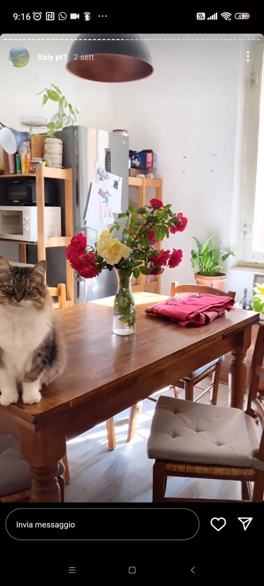 شقة Boh & Boh A Casa Di Luca And His Cats بيرودجا المظهر الخارجي الصورة
